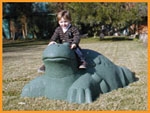 Turtle