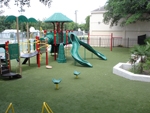 Turf